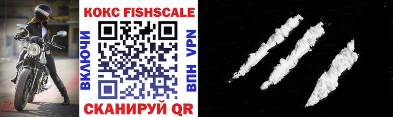 дарнет шоп  Задонск  КОКАИН Fish Scale 