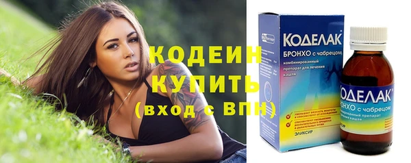 прущие грибы Осташков