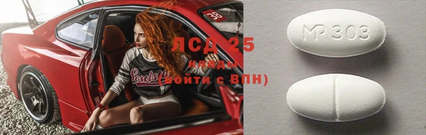 прущие грибы Осташков