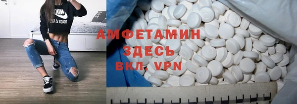 прущие грибы Осташков