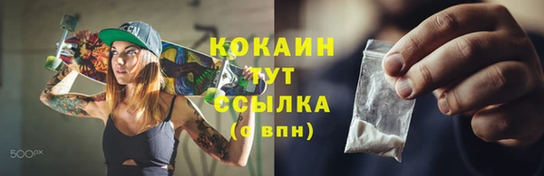прущие грибы Осташков