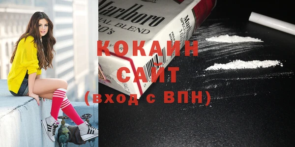 прущие грибы Осташков