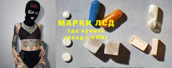 прущие грибы Осташков